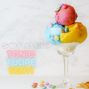 Album Sorbet from Sentin'l