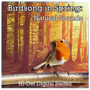 收聽Nature Sounds的Birdsong in Spring: Natural Sounds歌詞歌曲