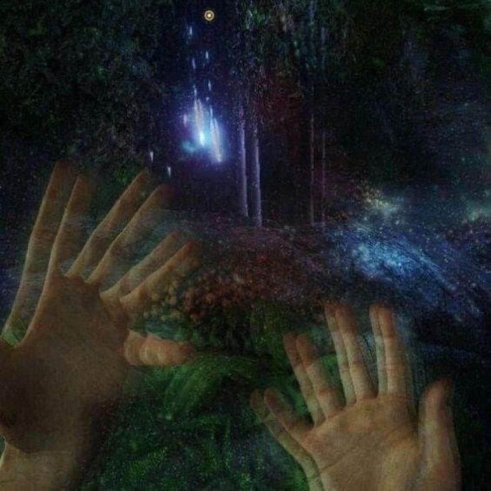 BAD TRIP (Explicit)