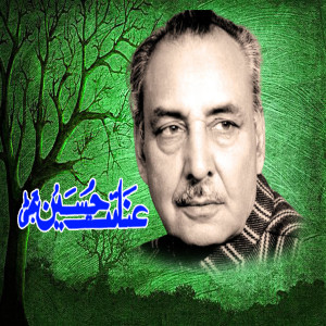 收聽Inayat Hussain Bhatti的VEKHI JA MOULA DE RANG歌詞歌曲