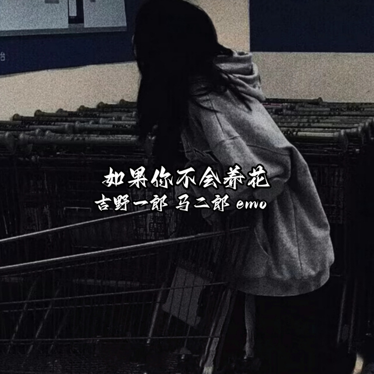 如果你不会养花