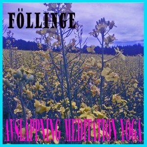 ดาวน์โหลดและฟังเพลง Blå Lagun พร้อมเนื้อเพลงจาก Föllinge