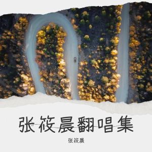 收聽張筱晨的不負人間 (cover: 阿YueYue) (完整版)歌詞歌曲