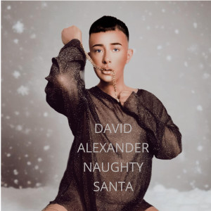 收听David Alexander的Naughty Santa (Explicit)歌词歌曲