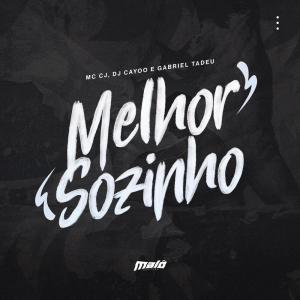 ดาวน์โหลดและฟังเพลง Melhor Sozinho (Explicit) พร้อมเนื้อเพลงจาก MC CJ