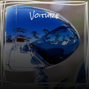 Various的专辑Voiture