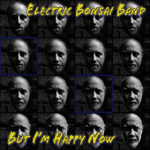 ดาวน์โหลดและฟังเพลง Comfort Me พร้อมเนื้อเพลงจาก Electric Bonsai Band