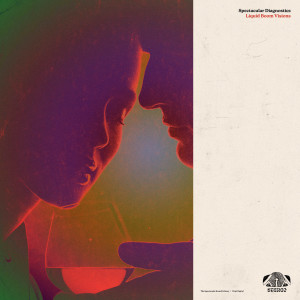 Album Liquid Boom Visions oleh Spectacular Diagnostics