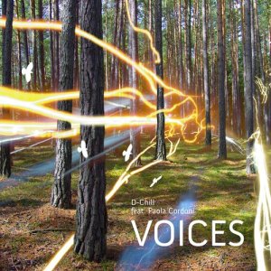 收聽D-Chill的Voices歌詞歌曲