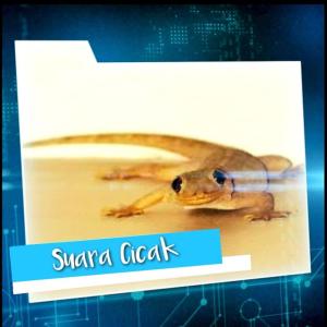 Listen to Suara Cicak song with lyrics from Ry2k Shanum