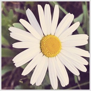 ดาวน์โหลดและฟังเพลง Spring พร้อมเนื้อเพลงจาก Peter Belec
