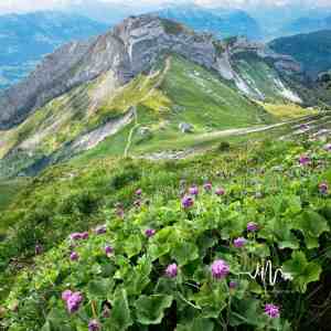 Dengarkan lagu 小朋友睡得香-古筝 (减压放松) nyanyian 睡前音乐盒 dengan lirik