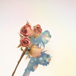 ดาวน์โหลดและฟังเพลง The Moment Splendid Of Us (Instrumental) (Inst.) พร้อมเนื้อเพลงจาก Jumal-ohu