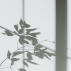 收聽Tuneit的Tum Se Hi (Acoustic Version)歌詞歌曲