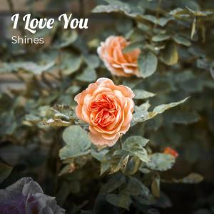Shines的专辑I Love You