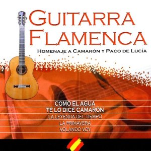 ดาวน์โหลดและฟังเพลง Mi Inspiración พร้อมเนื้อเพลงจาก The Spanish Guitar