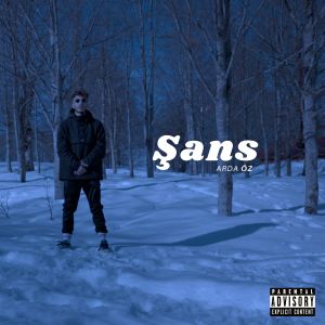 Listen to Şans song with lyrics from Arda Öz