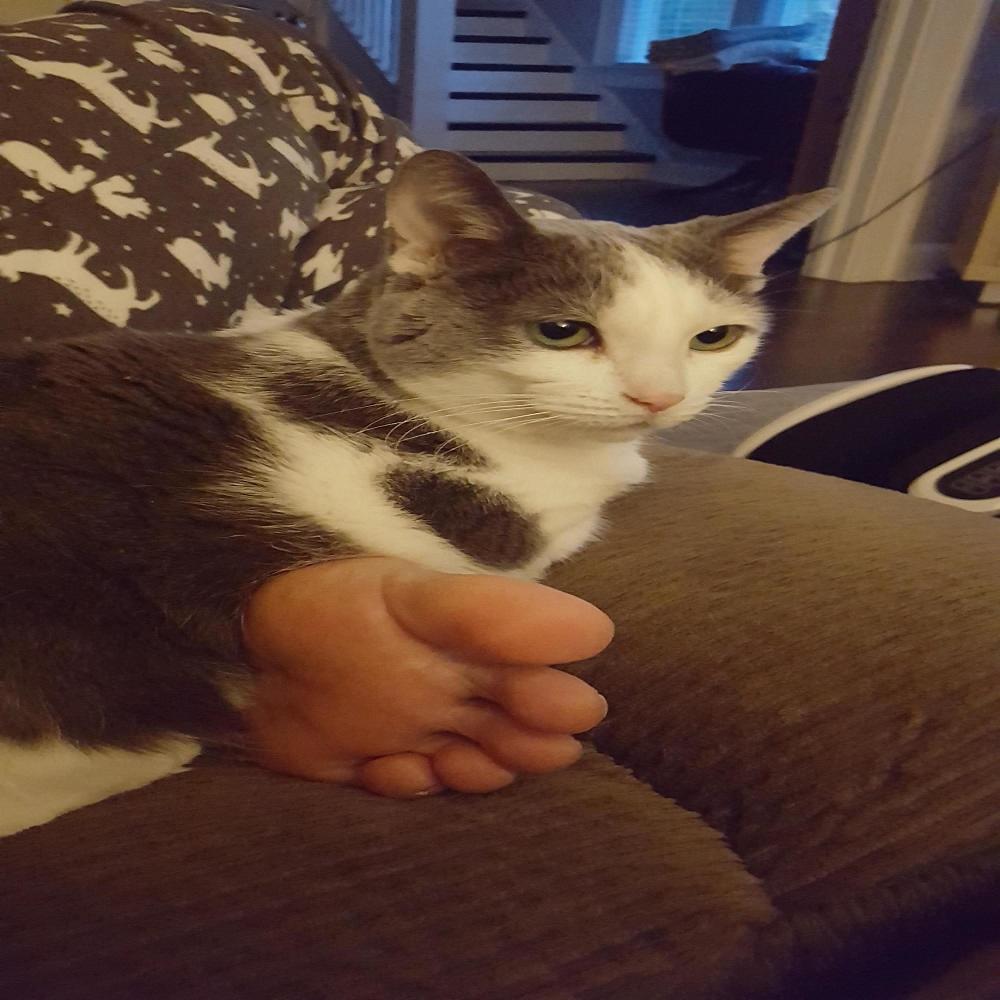 suckin my toes (Explicit)
