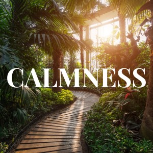 Album CALMNESS from Para Relajarse