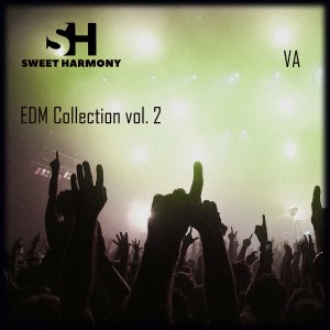 Various Artists的專輯EDM Collection, Vol. 2