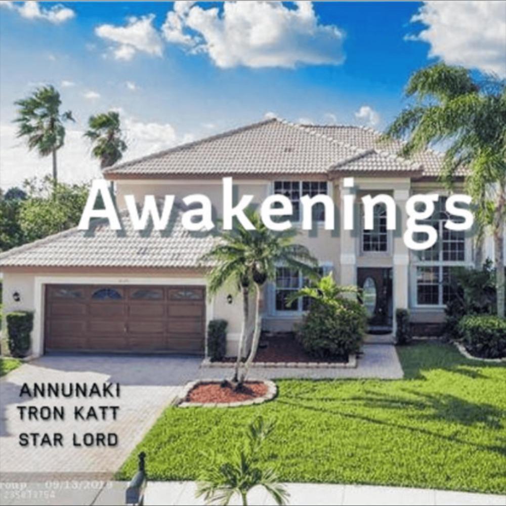 Awakenings (feat. Star Lord & Tron Katt)