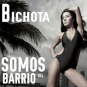 Somos del Barrio的專輯Bichota