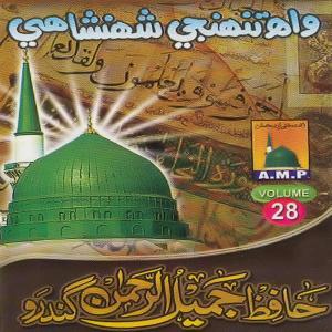 Album Wah Tunjhi Shehenshahi, Vol. 28 from 