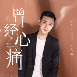 Listen to 曾经心痛 (DJ光音坊版) song with lyrics from 小阿枫