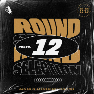 Album D.LEAGUE 22 -23 SEASON - ROUND SELECTION - ROUND.12 oleh 日本群星
