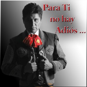 ดาวน์โหลดและฟังเพลง Para Ti No Hay Adiós พร้อมเนื้อเพลงจาก Martin Cavazos