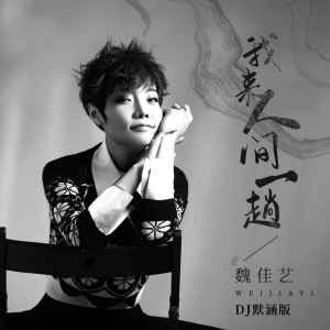 ดาวน์โหลดและฟังเพลง 我来人间一趟 (DJ默涵版) พร้อมเนื้อเพลงจาก 魏佳艺