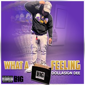 Dollasign Dee的專輯What A Feeling