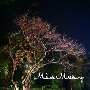 收听STYLE VOICE的MABIAR MARSIRANG (Explicit)歌词歌曲