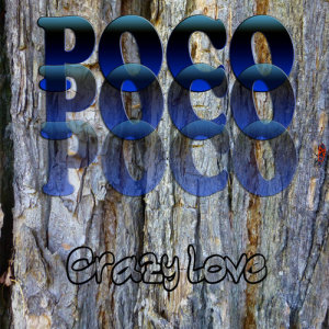 ดาวน์โหลดและฟังเพลง Crazy Love (Live) พร้อมเนื้อเพลงจาก Poco