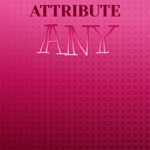 อัลบัม Attribute Any ศิลปิน Various