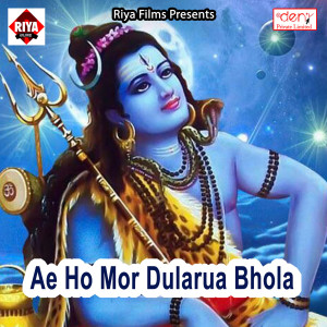 Album Ae Ho Mor Dularua Bhola from Tej Narayan