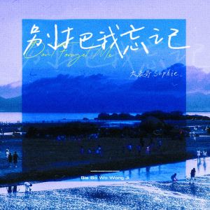 Album 别把我忘记 from 大表哥Sophie