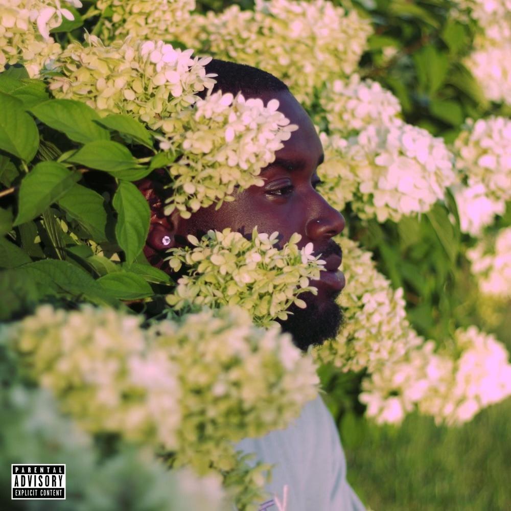 Honestly (feat. Don Giovanni) (Explicit)