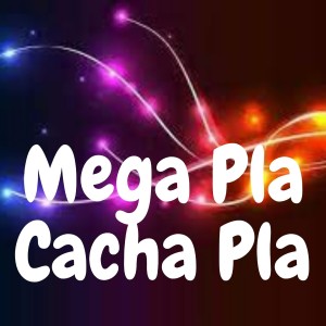 Album Mega Pla Cacha Pla oleh Dj Regaeton