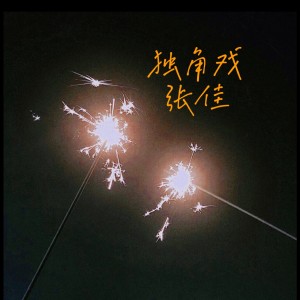 Album 独角戏 from 张佳