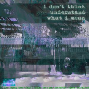 Learke的專輯i don't think you understand what i mean (Explicit)
