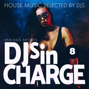 Album Djs in Charge, Vol. 8 from Various Artists