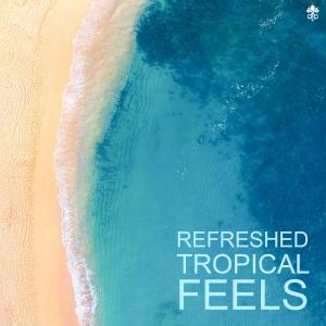 Listen to Take Me Back(feat. Guitk) song with lyrics from Sterkøl