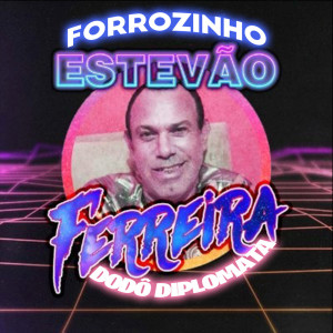 Listen to Forrozinho Estevão Ferreira song with lyrics from Dodô Diplomata