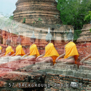 Listen to Capture Happiness song with lyrics from Asian Zen Spa Music Meditation
