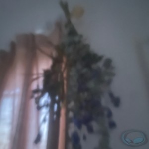 Listen to Earthquake song with lyrics from SON!C