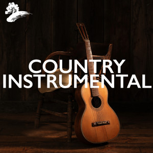 Jack Jezzro的專輯Instrumental Country Music