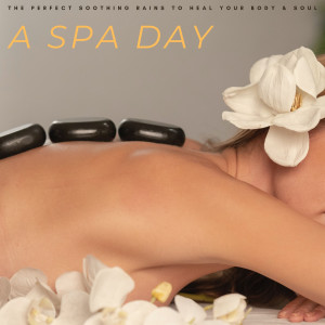 Calming Sounds的專輯A Spa Day: The Perfect Soothing Rains To Heal Your Body & Soul