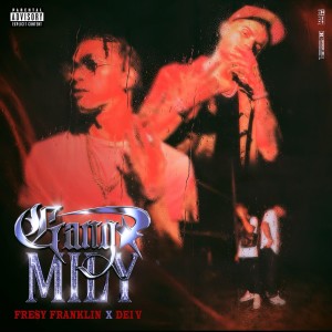 ดาวน์โหลดและฟังเพลง Gangmily (Explicit) พร้อมเนื้อเพลงจาก Fresy Franklin