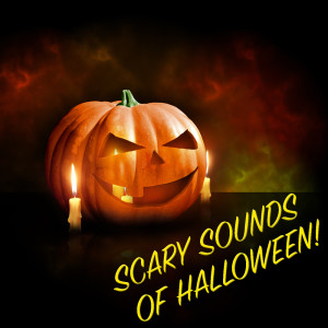 ดาวน์โหลดและฟังเพลง Scary Organ Music พร้อมเนื้อเพลงจาก Wildlife